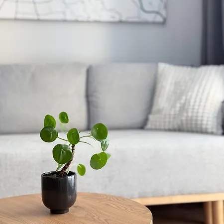 Ksiecia Witolda River And Lift Apartamento